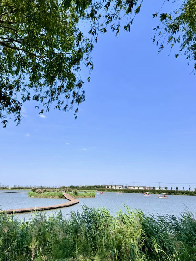 海岸幻樂——曹妃甸多瑪樂園