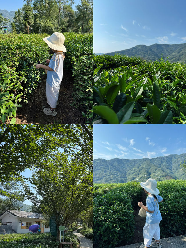 陝西|石泉-漢陰-紫陽佛系遛娃路線 陝西|石泉-漢陰-紫陽佛系遛娃路線