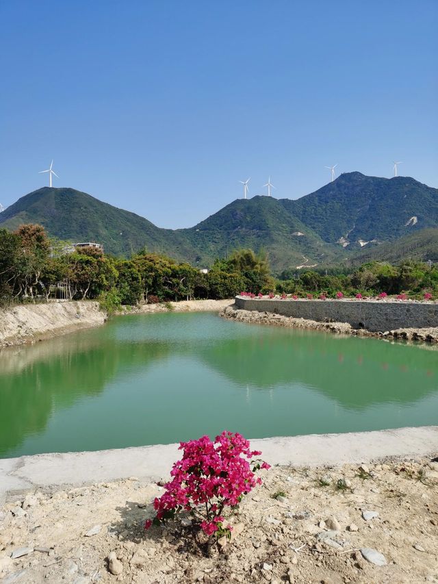 惠州鹽洲島3天2晚深度玩法,2000元帶你玩轉海島秘境! 惠州鹽洲島3天2晚深度玩法,2000元帶你玩轉海島秘境!