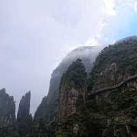 雲霧秘境莽山遊