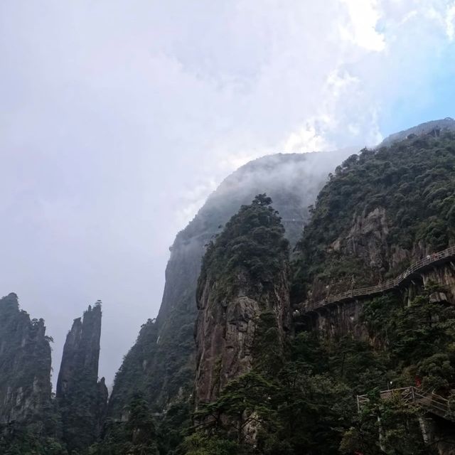 雲霧秘境莽山遊