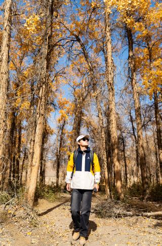 Autumn in Aksai | Huyang Gorge is a hidden gem favored by film and TV productions