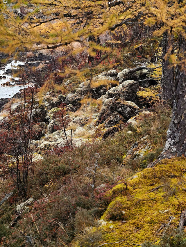 阿爾山•石塘林：踏足亞洲最大火山熔岩區