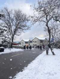 七日赴雪約：煙台與威海的冬日私語