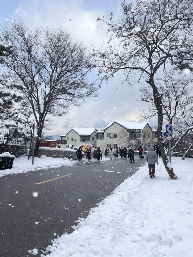七日赴雪約：煙台與威海的冬日私語