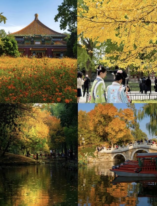 2025北京賞秋8大必打卡地| 邂逅京城的秋日