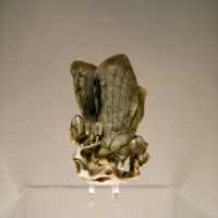 Nature Carved in Elegance – Rhinoceros Horn Art at Shanghai Museum 🦏✨