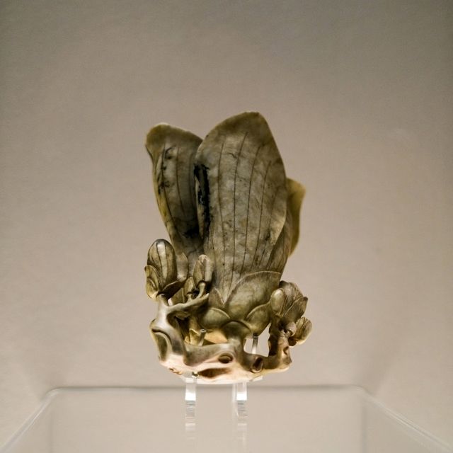 Nature Carved in Elegance – Rhinoceros Horn Art at Shanghai Museum 🦏✨