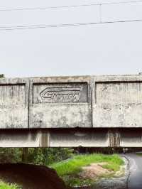 🌿 Kedah's Old Railway Bridge: Where History Meets Wild Beauty! 🛤️
