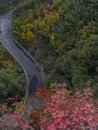 太行山尖叫體驗河南這個峽谷藏著天空之路+玻璃棧道敢挑戰嗎