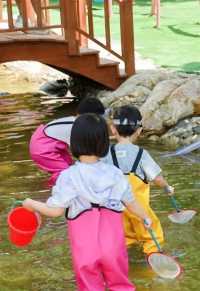 西安「粉黛乱子草」已悄然綻放