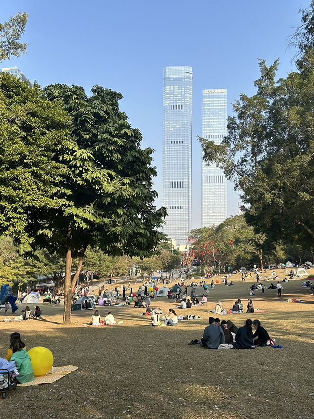 🌿 蓮花山公園 × 深業上城 × 筆架山｜搭捷運就能抵達的城市綠洲