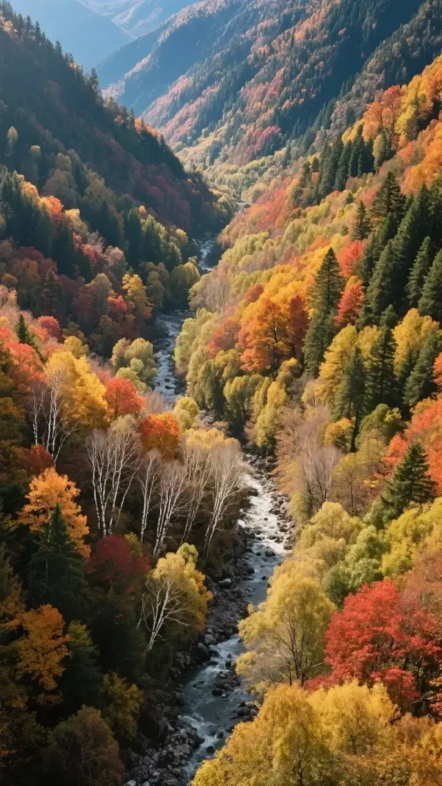 3 Days 2 Nights Autumn Tour in Heishui County, Sichuan