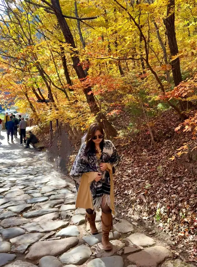 東北賞楓天花板！遼寧本溪楓葉季攻略