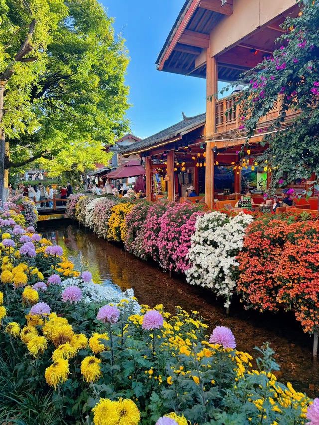 麗江山念民宿，好想在這裡旅居啊
