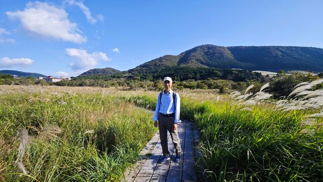 箱根濕生花園 —— 低調、但不可錯過的地方