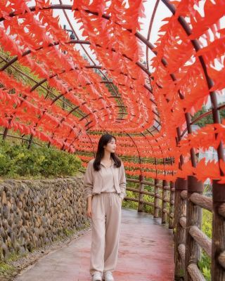 In-depth Tour of Yunhe Terraces｜Complete Guide to the Four Best Photo Spots