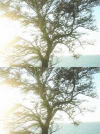 小眾秘境！新疆自駕選孟克特古道就對了