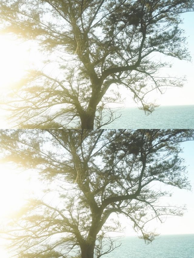 小眾秘境！新疆自駕選孟克特古道就對了