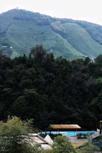 什麼在紅山楂酒店竟然不能躺平