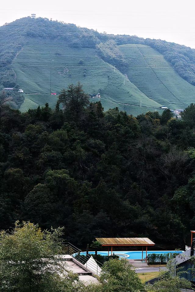 什麼在紅山楂酒店竟然不能躺平 什麼在紅山楂酒店竟然不能躺平