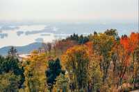 注意!這不是油畫,而是成都的彩色秋天!