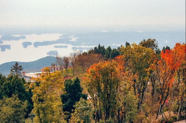注意!這不是油畫,而是成都的彩色秋天! 注意!這不是油畫,而是成都的彩色秋天!