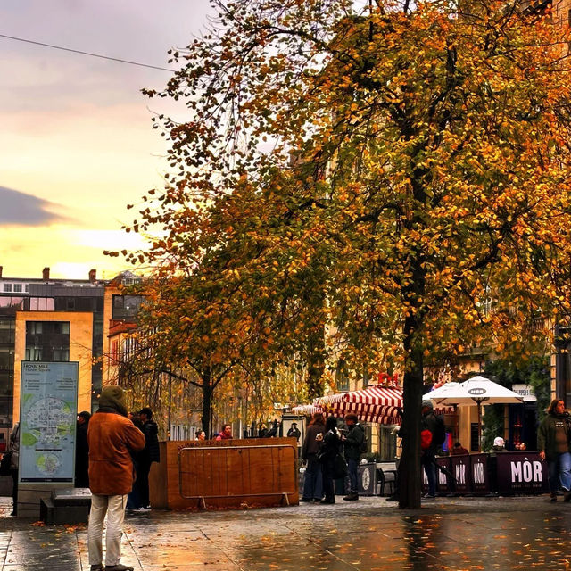 🍂에든버러 가을，일곱 번째 맞이하는 계절의詩