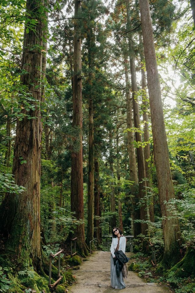 青森奧入瀨溪流+十和田湖一日散步路線 青森奧入瀨溪流+十和田湖一日散步路線