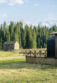 原始森林野奢體驗