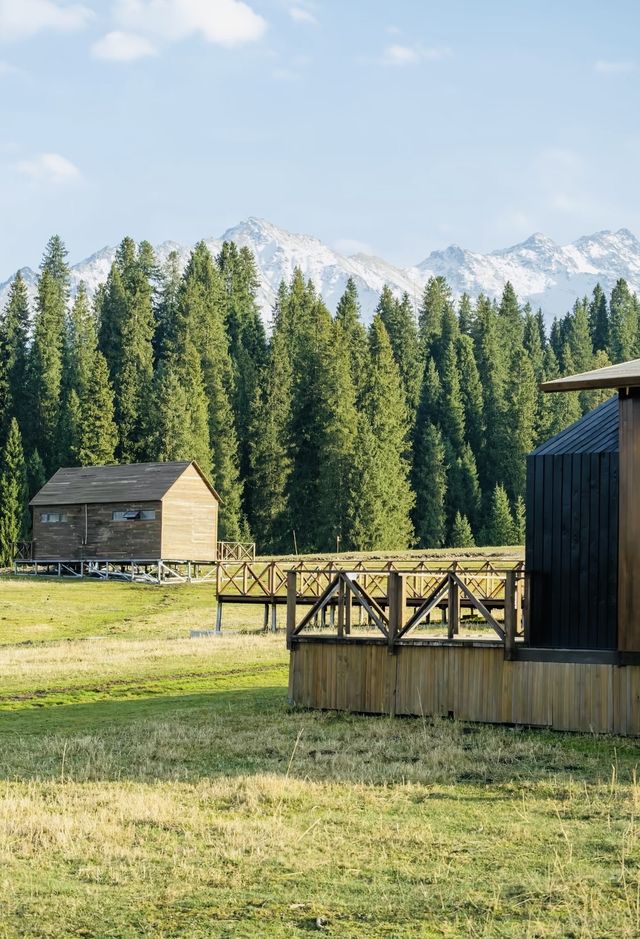 原始森林野奢體驗 原始森林野奢體驗