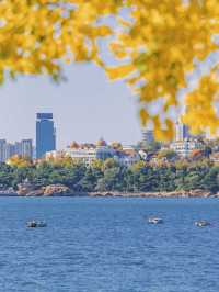 青島秋冬:闖進漫畫裡的治癒幀