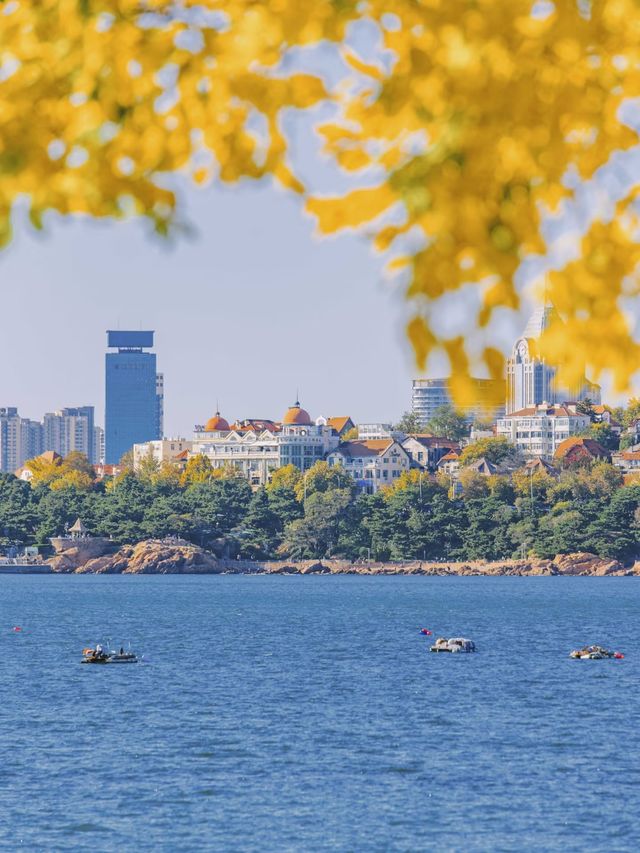 青島秋冬:闖進漫畫裡的治癒幀 青島秋冬:闖進漫畫裡的治癒幀