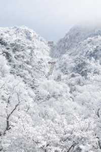 秋遊必看濟南-泰安-濟寧這樣玩才爽