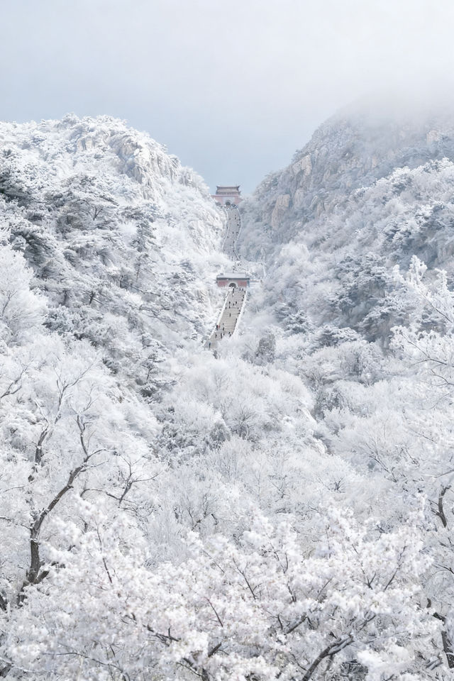 秋遊必看濟南-泰安-濟寧這樣玩才爽