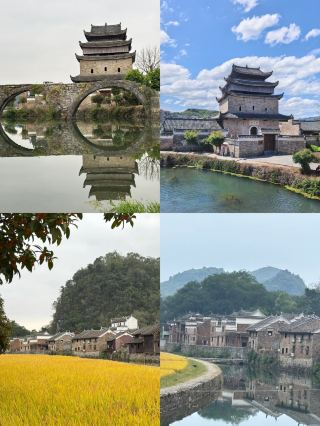 강영 가을 풍경 비경 벼물결 일렁임