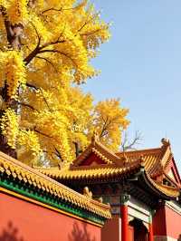 震驚！甘肅這座千年古城竟然藏了這些秘密！