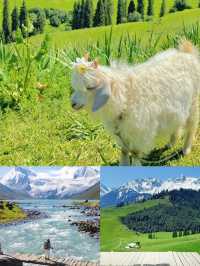 逃離城市!恰西草原「野生仙女」生存指南