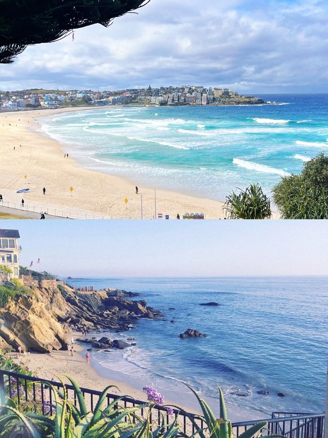 加州日記｜Laguna Beach不踩雷攻略