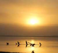 帶娃遊鄂州不踩雷