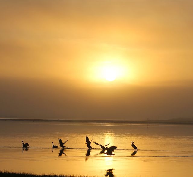 帶娃遊鄂州不踩雷 帶娃遊鄂州不踩雷