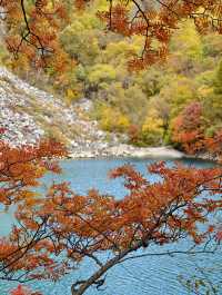 11月松坪溝美到窒息！彩林映碧水，一天才花130元！