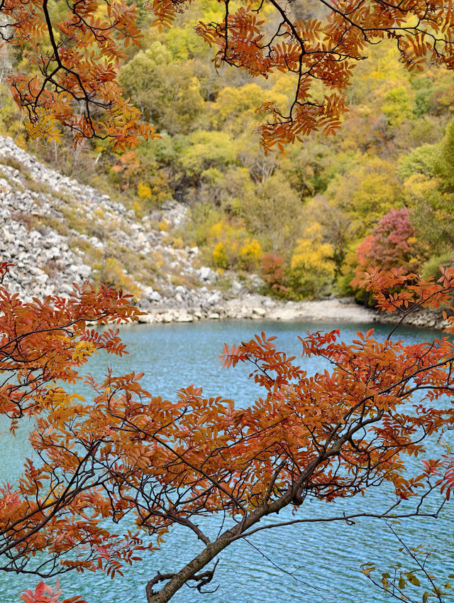 11月松坪溝美到窒息！彩林映碧水，一天才花130元！