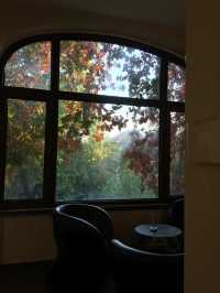 落葉像雪一樣的季節