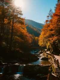 川西親子慢遊彩林溫泉+畢棚溝徒步超讚