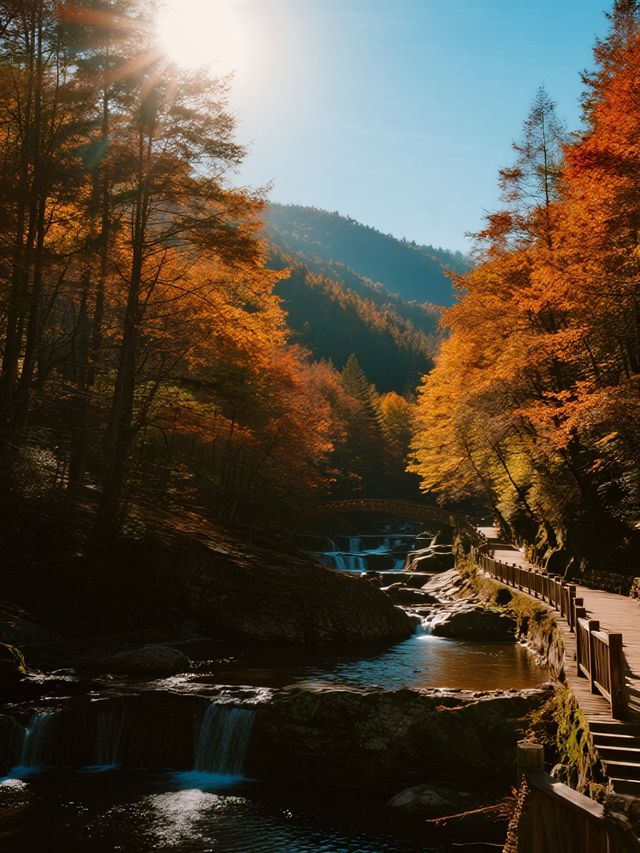 川西親子慢遊彩林溫泉+畢棚溝徒步超讚 川西親子慢遊彩林溫泉+畢棚溝徒步超讚