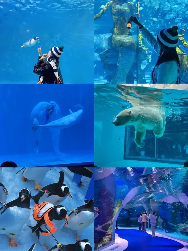 Harbin Polarland Ultimate Travel Guide |