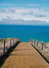 新西蘭南島火爆全網!隧道沙灘重新開放啦