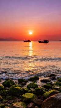 深圳，不止是經濟特區！這座未來之城，藏著太多驚喜