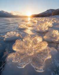 哈爾濱藍冰泡奇觀